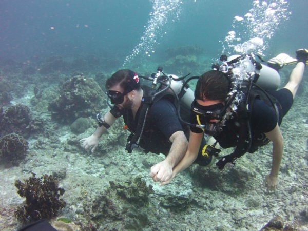 Scuba Diving Hurghada Red Sea - Scuba Lovers